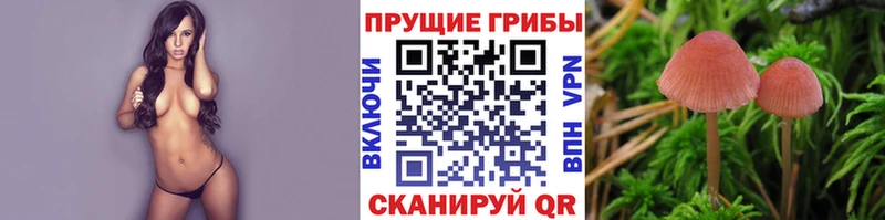 Купить  Нея  Псилоцибиновые грибы ЛСД 