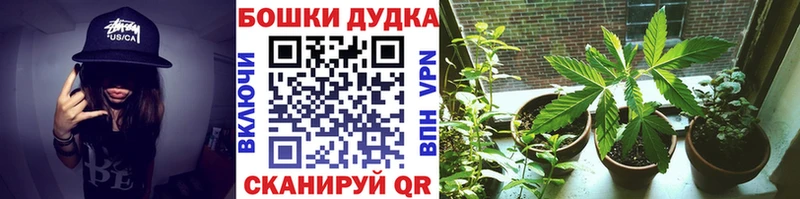 Купить где Нея МАРИХУАНА семена